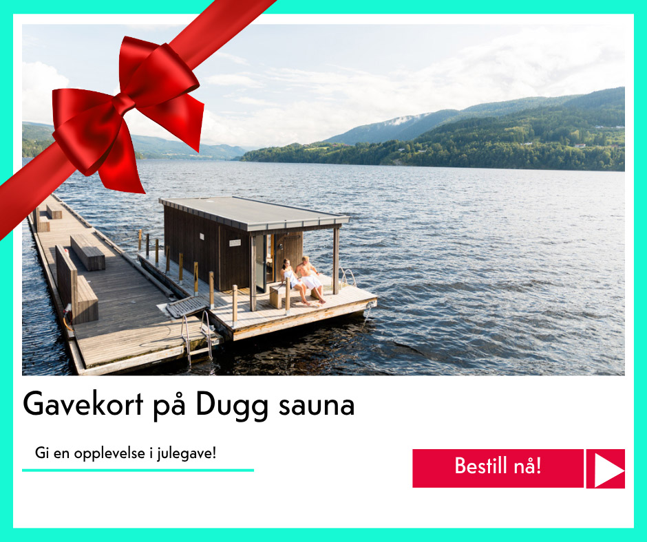 julegavetips Dugg sauna