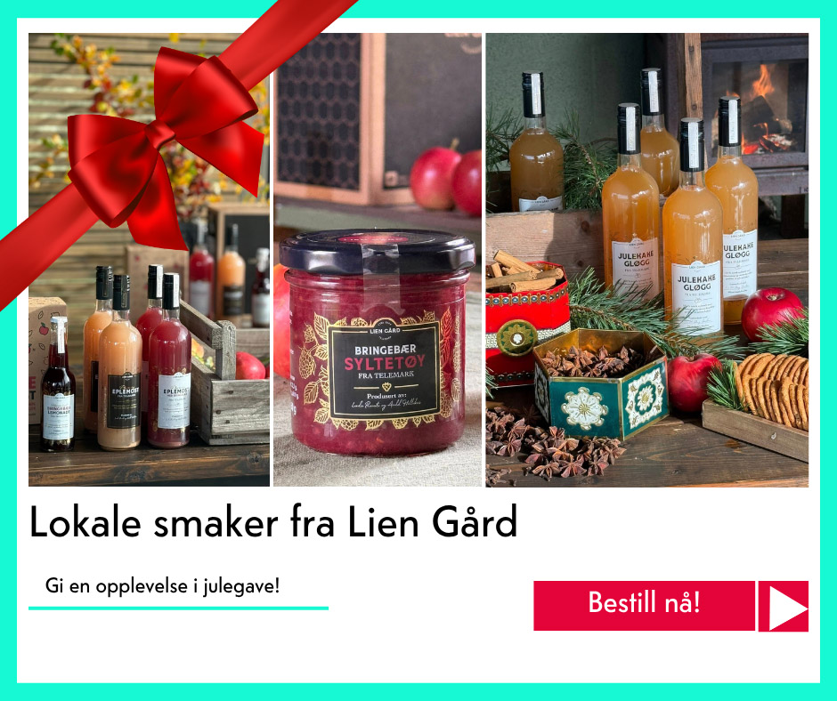 julegavetips Lien Gård