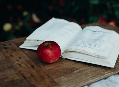 Soger og historier frå Tokke