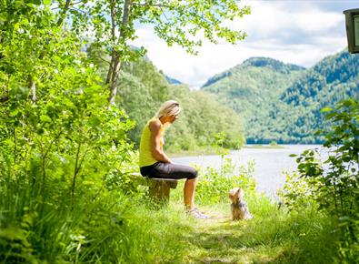 Dame som sitter på en benk med en liten hund foran seg