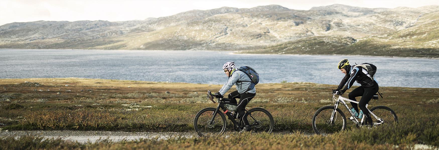 Sykling på Hardangervidda