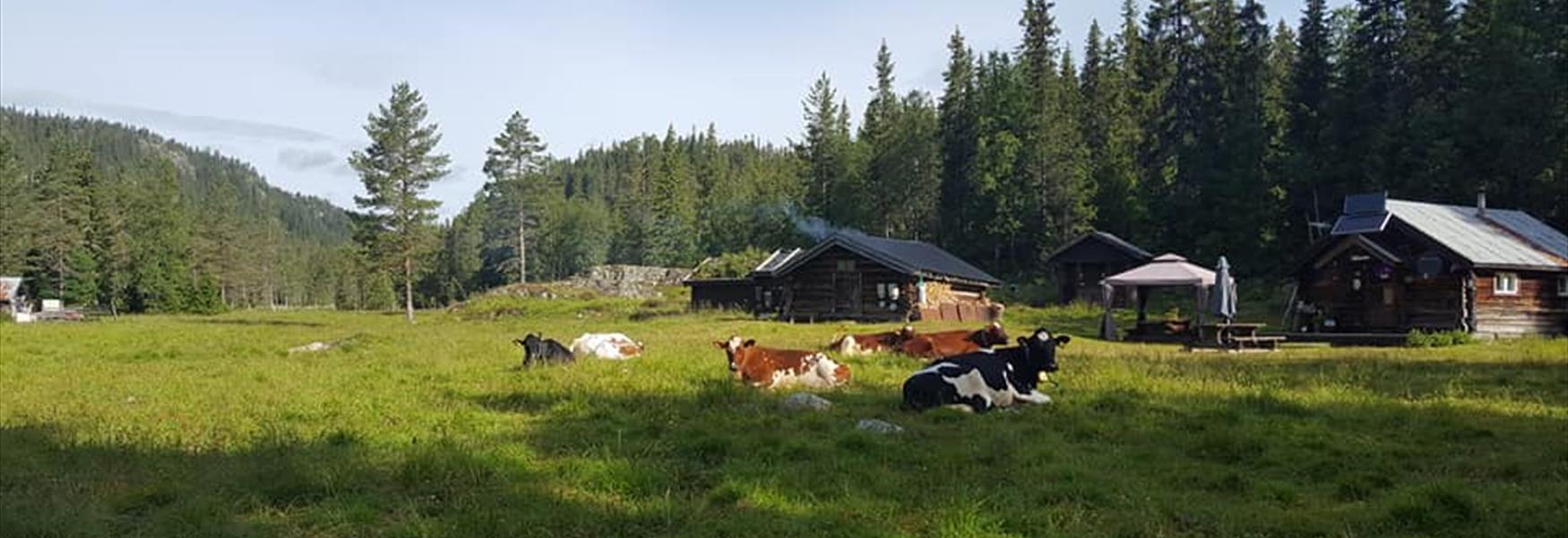 Sæteridyll, nordbø gard og stule