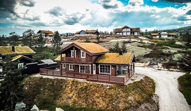 cabins at Vrådal Booking