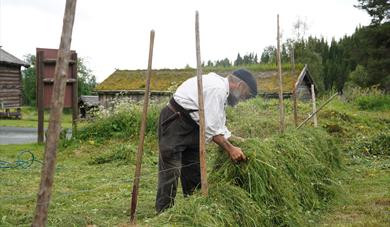 Museumsbøndane hesjar, Vest-Telemark museum.