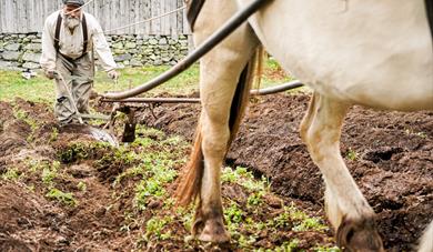Våronn i Eidsborg, pløying med hest på åkeren.