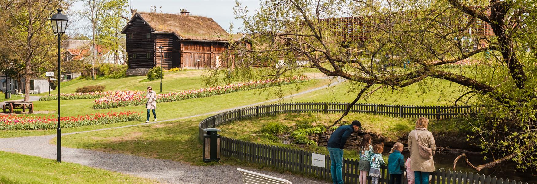familie på andedam i Brekkeparken i Skien