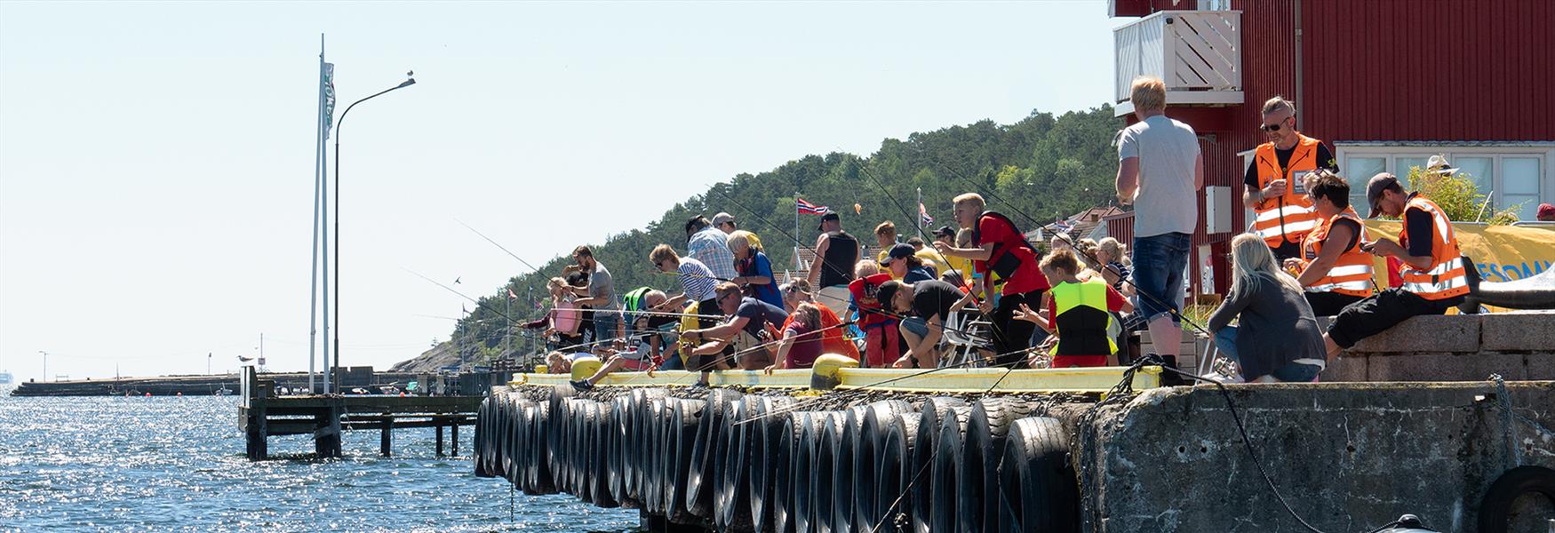 Raymarine Fishfestival