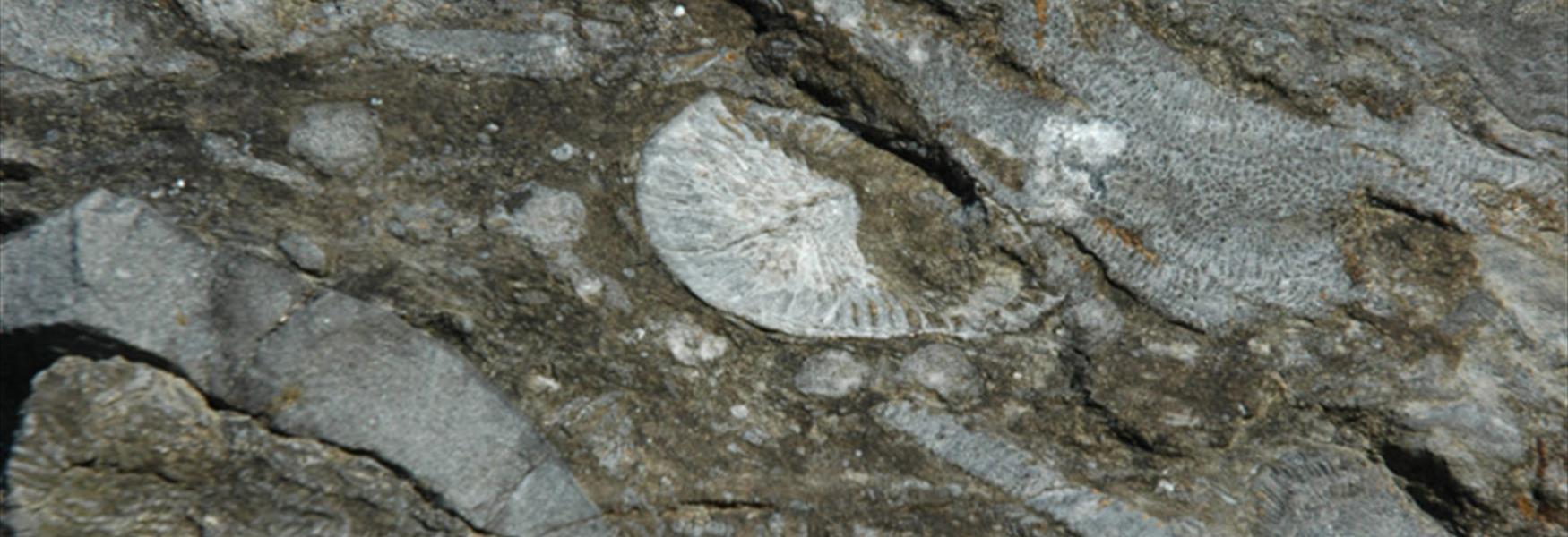 Gea Norvegia Unesco Global Geopark