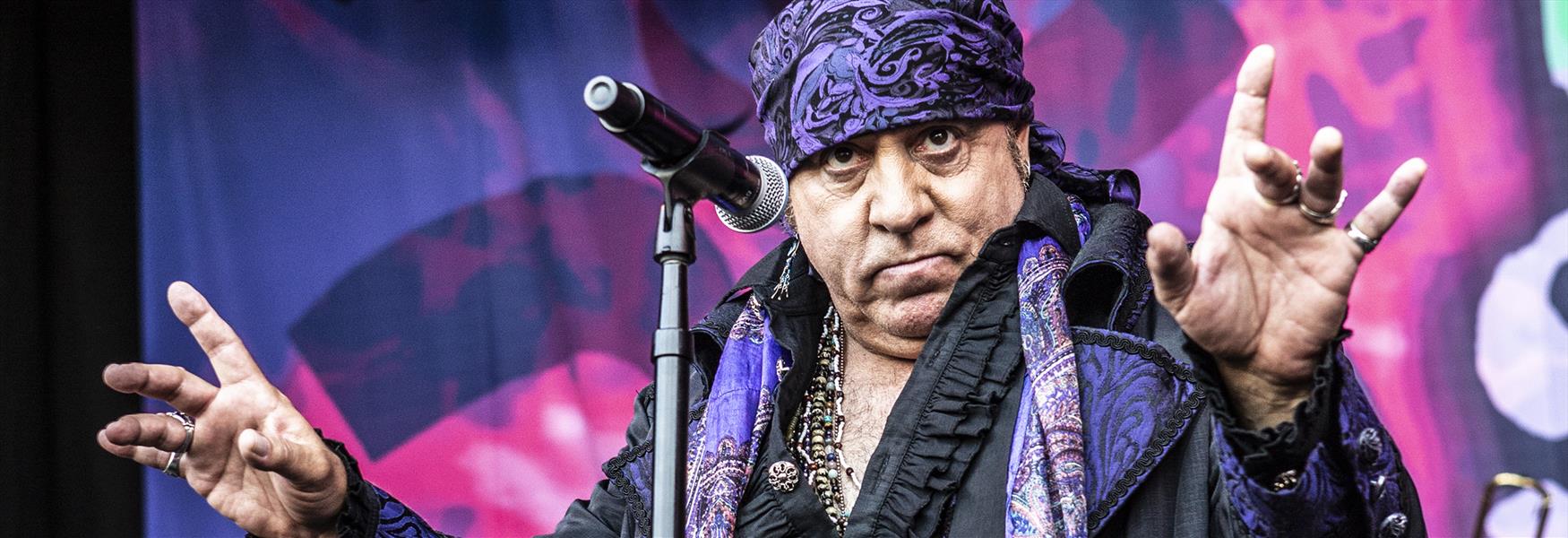 Little Steven på Wrightegaarden