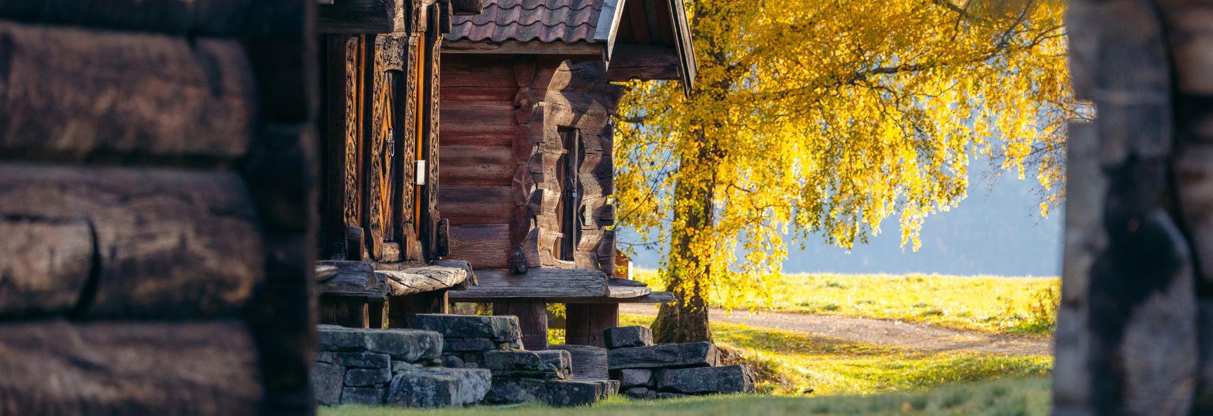 Frå Kviteseid bygdetun, haust på tunet, Vest-Telemark museum.