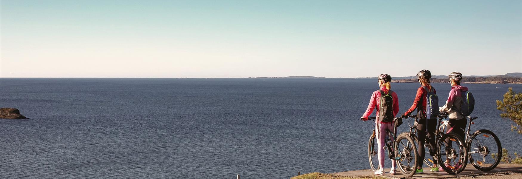 Utsikt ved Telemarkskysten