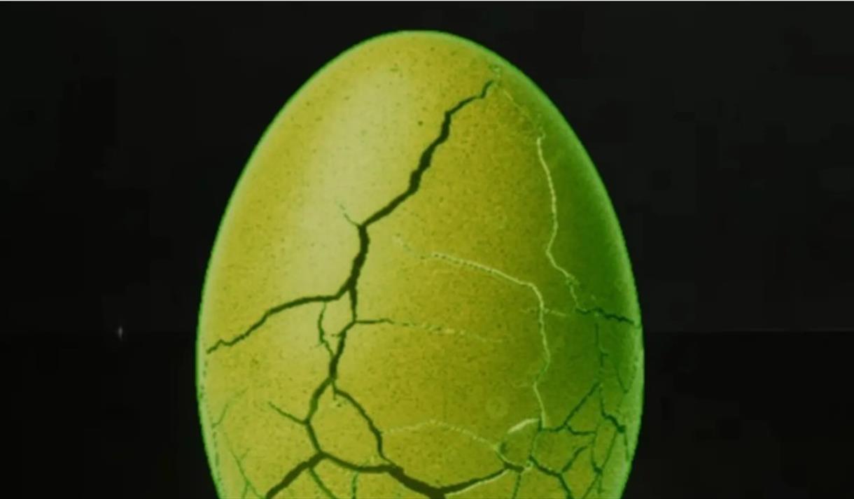 grønn egg