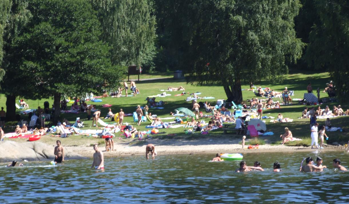 folk som bader på Brønnstadbukta badeplass i Porsgrunn