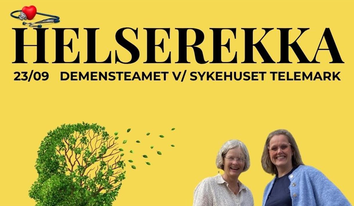 Helserekka Demens