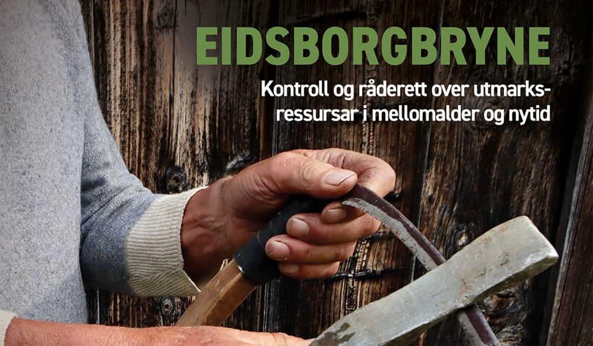 Bokomslag Eidsborgbryne - Vikingvegen 4.