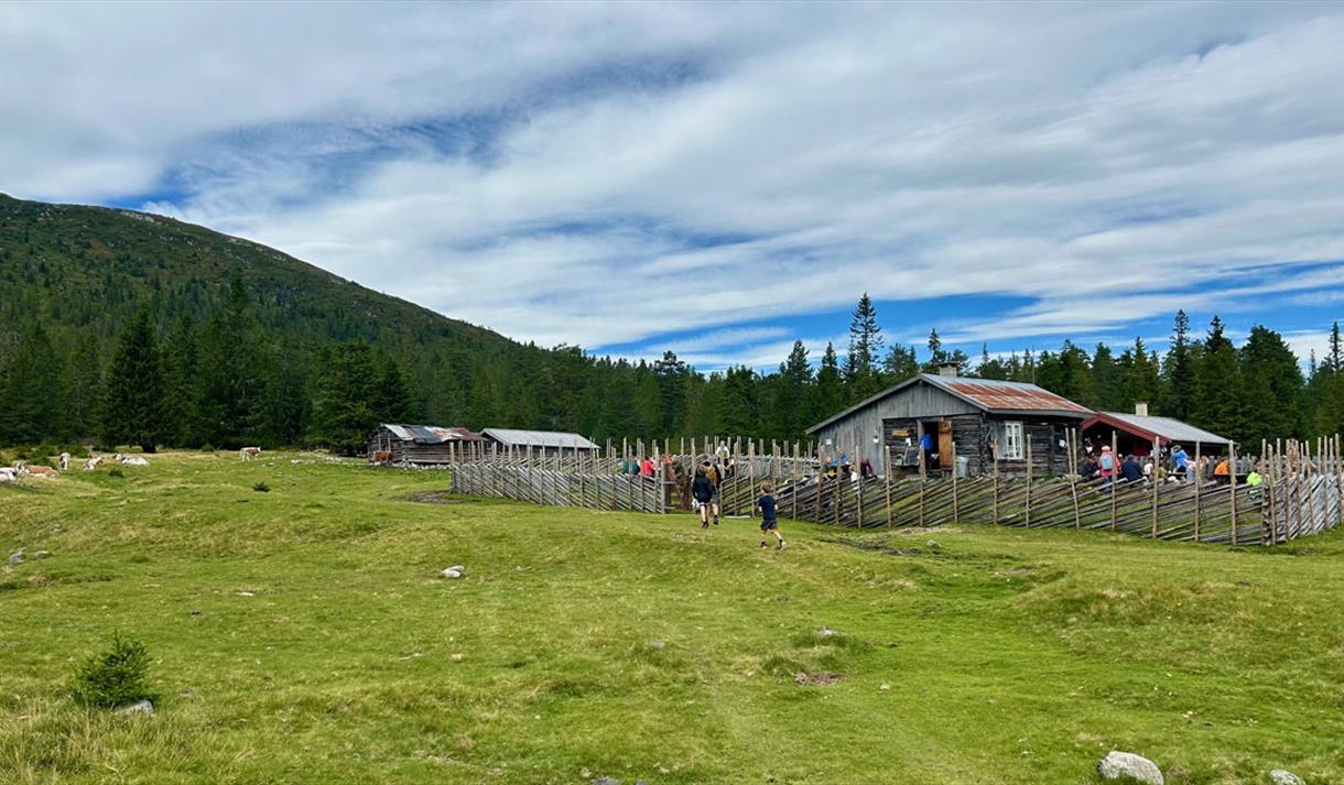 Gavlesjåstulen på Lifjell