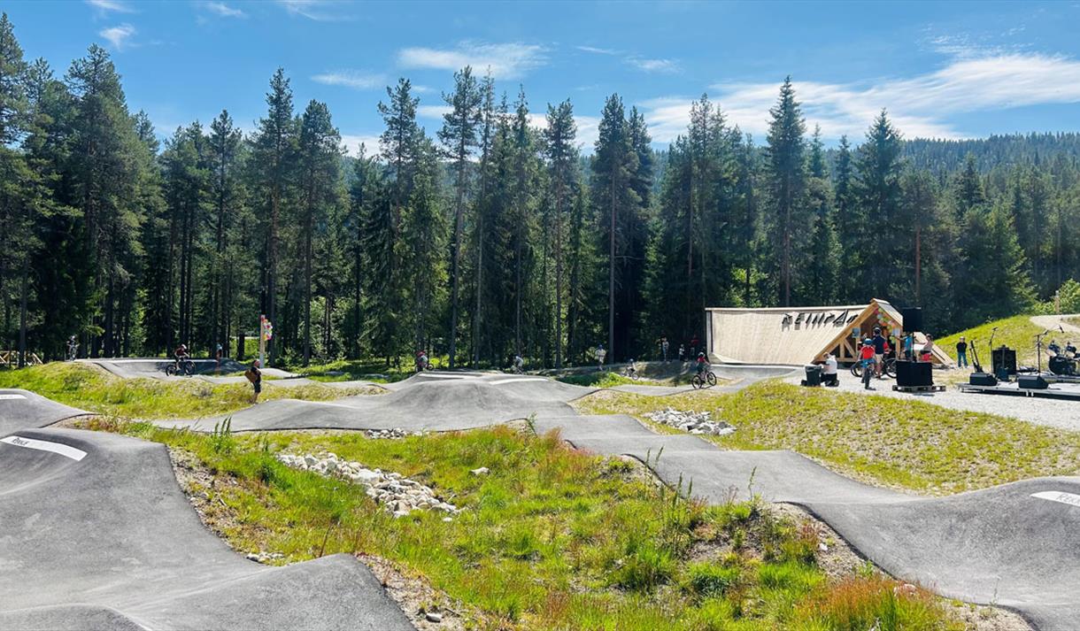 Reinparken sykkelpark i Vinje