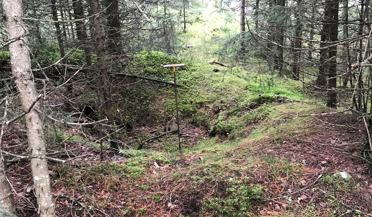Registrering av kulturminne i utmark, foredrag på Vest-Telemark museum.
