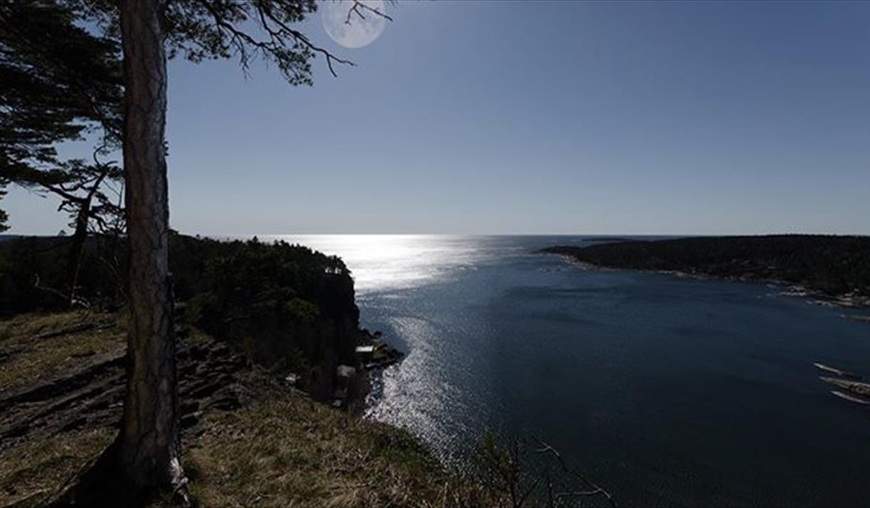 utsikt over vannet ved Rognsåsen i Bamble