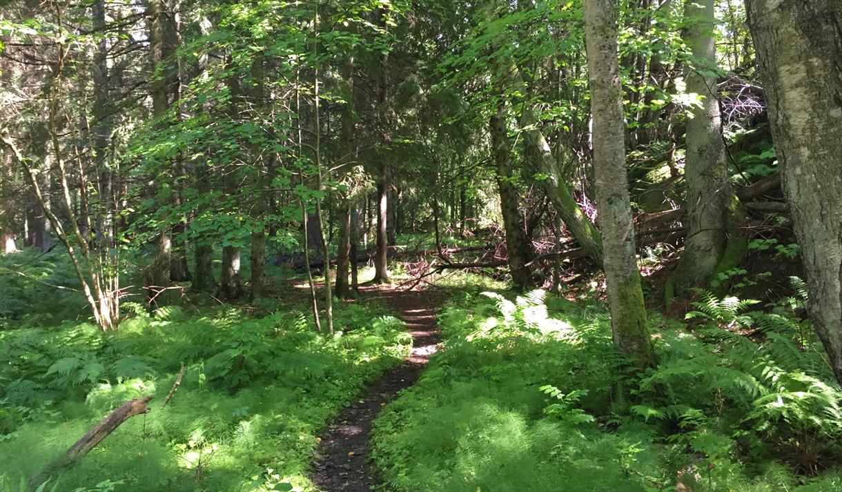 Merket tursti på Sandøya