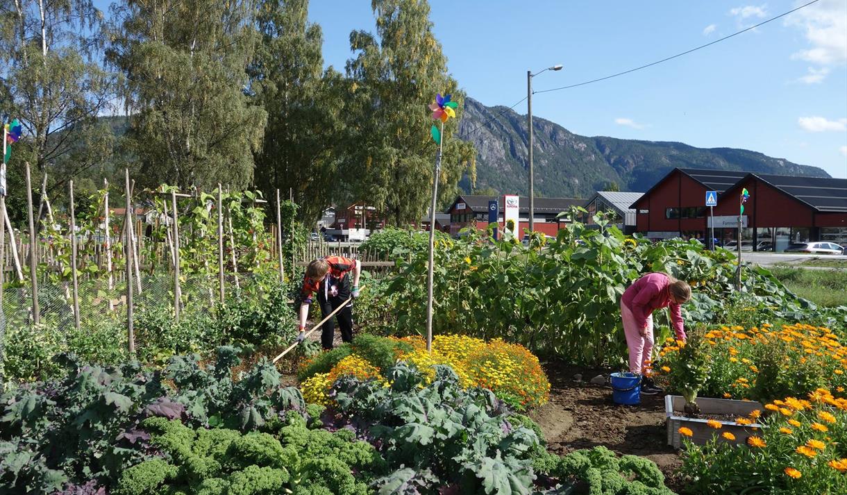 Personer som jobber i hagen