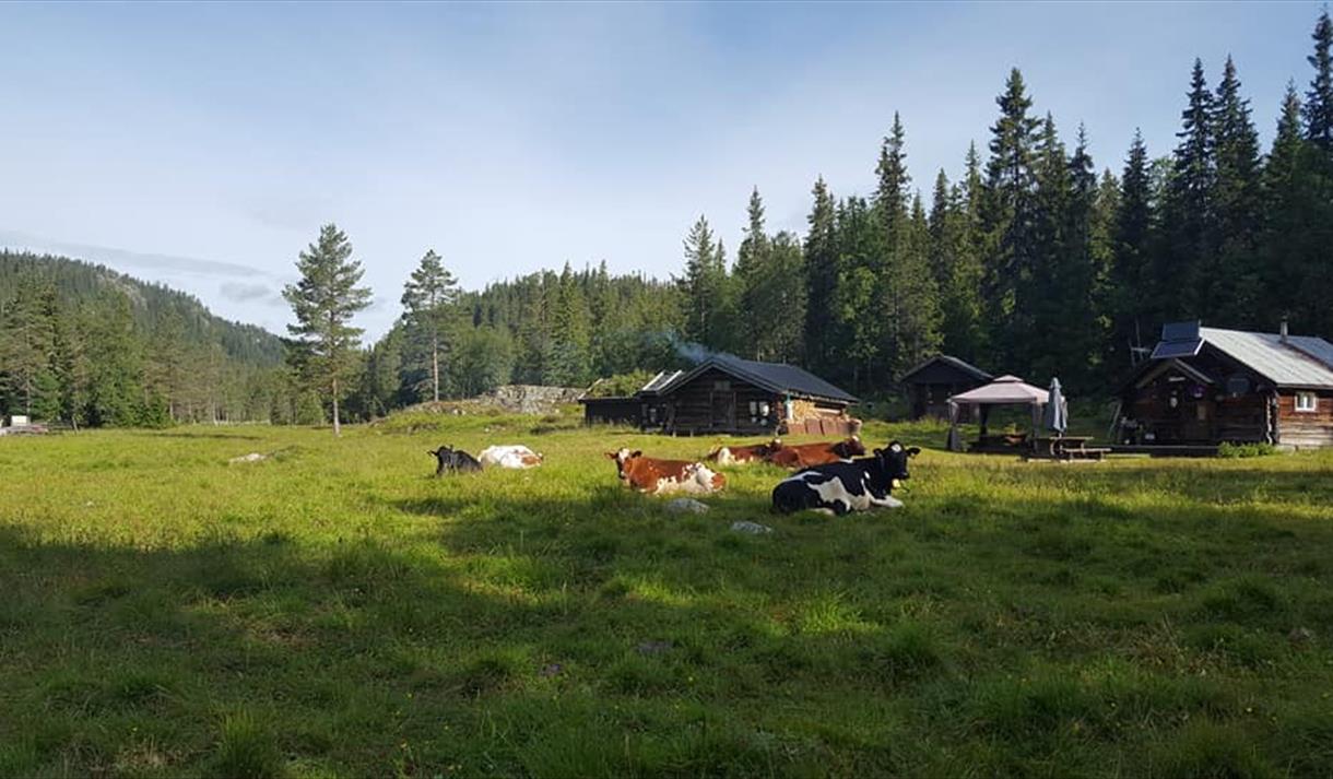 Sæteridyll, nordbø gard og stule