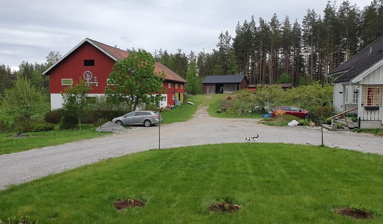 gårdstunet på Moland