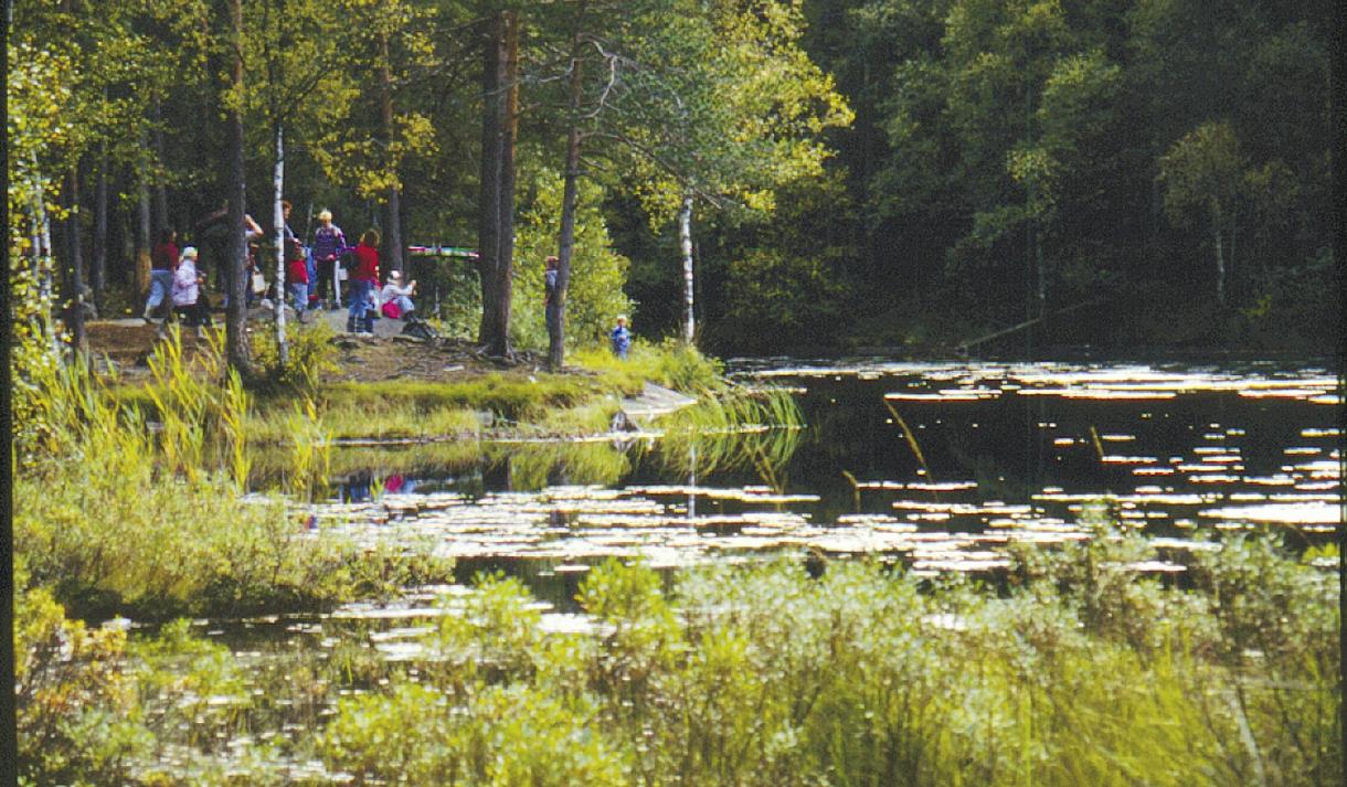 vann på Solumsmarka