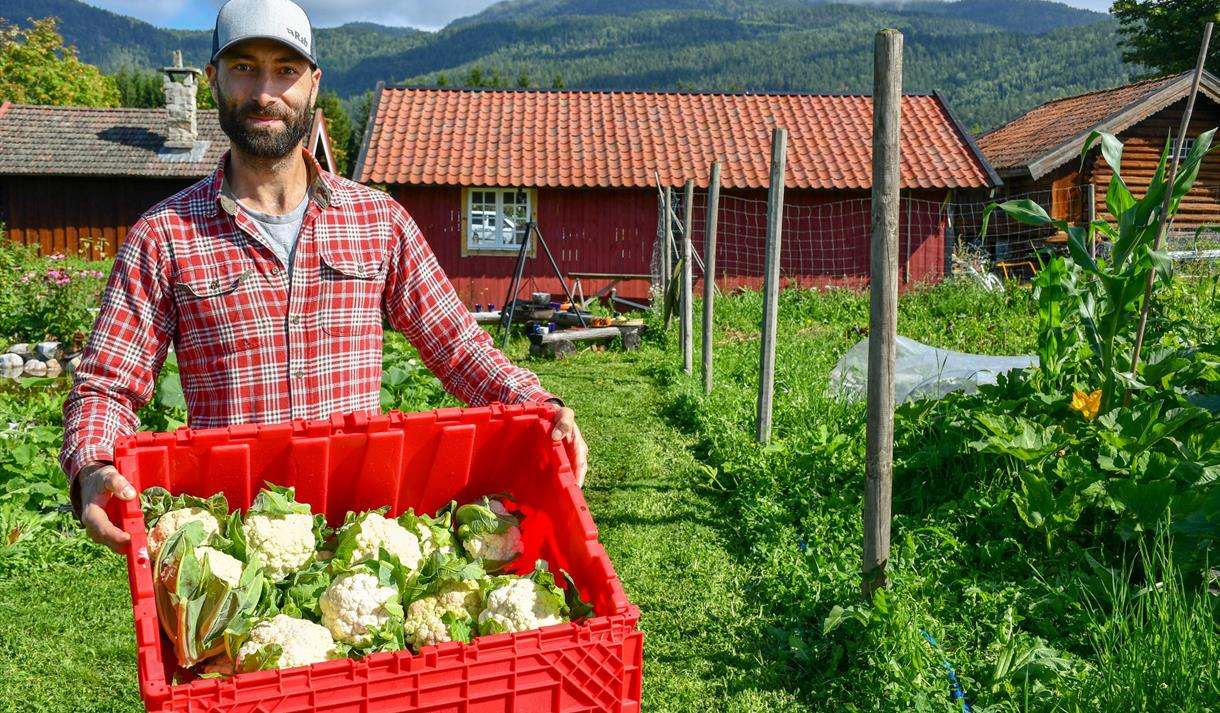 mann med blomkål fra Den grønne nabo