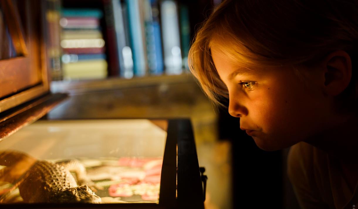 Alt dette er ditt utstillingen. Et barn som ser på utstillingen