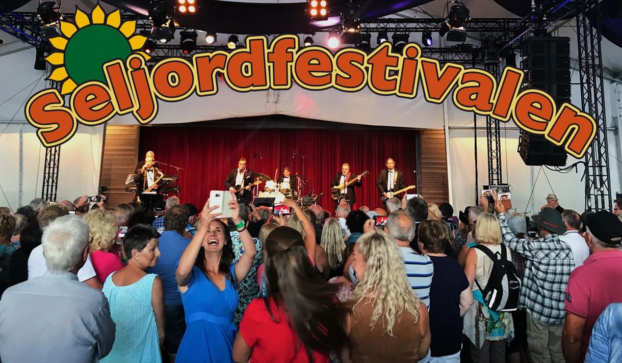 Velkommen til Seljordfestivalen. Plakat med mennesker foran en scene.