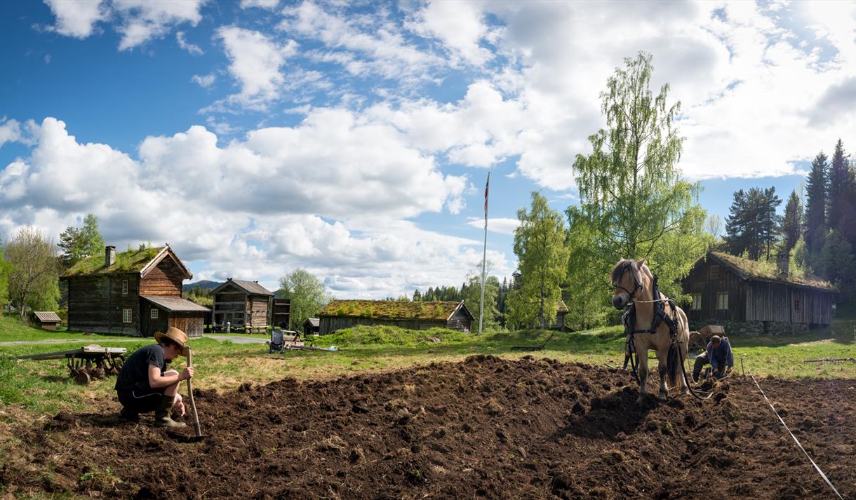 Museumsbonden i Eidsborg