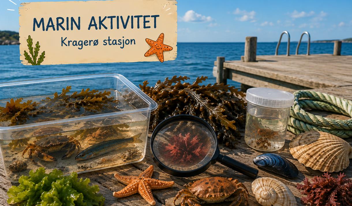 Marin aktivitet på Kragerø stasjon