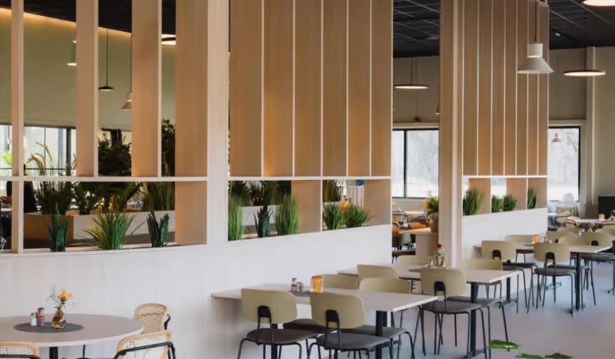 beige og brune stoler og bord, blomster