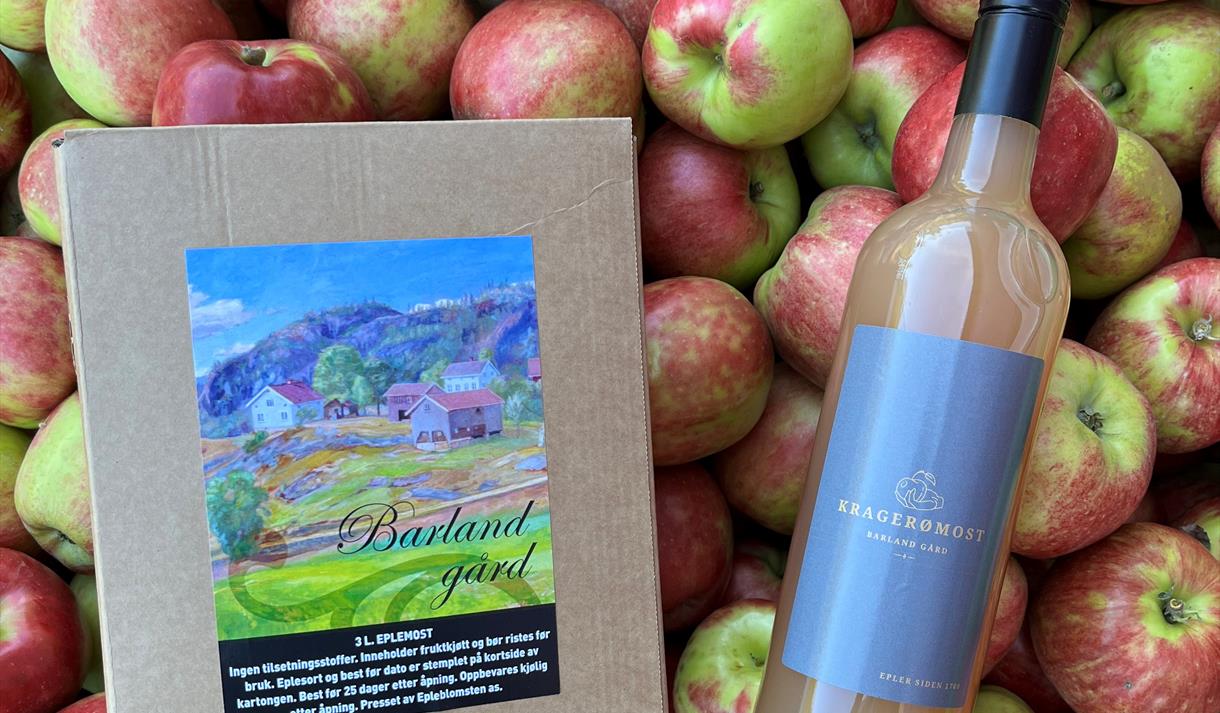 Eplemost, juice fra Barland Gård