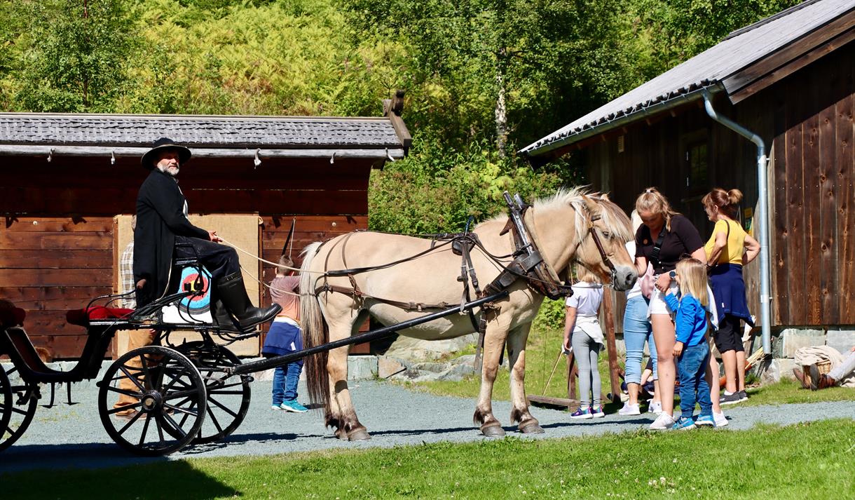 Hest og vogn, familiedag i Eidsborg.