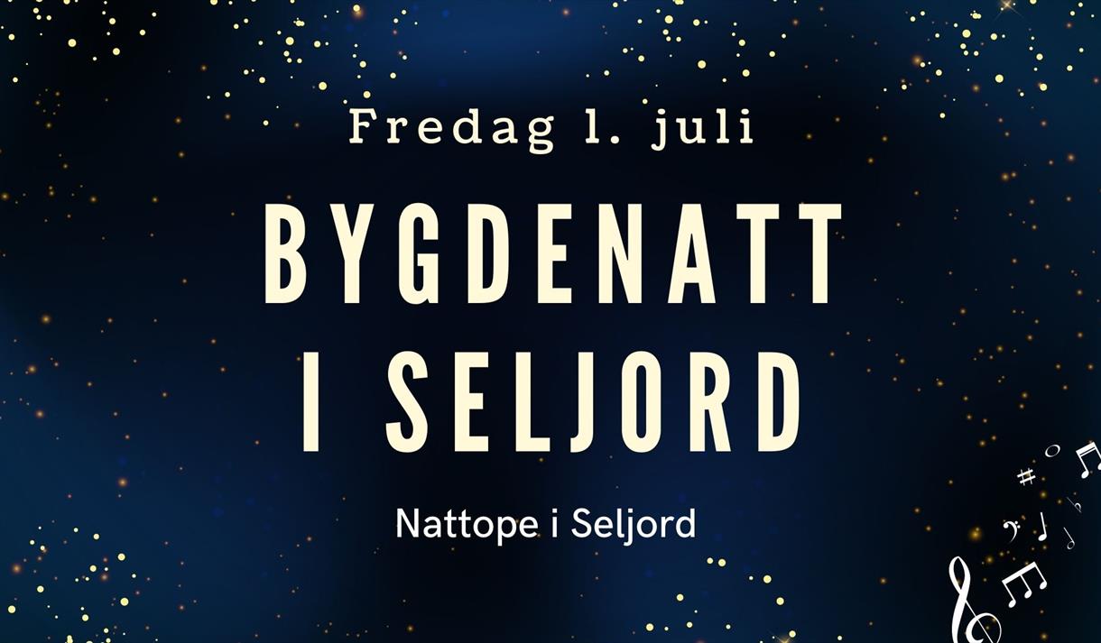 Bygdenatt i Seljord