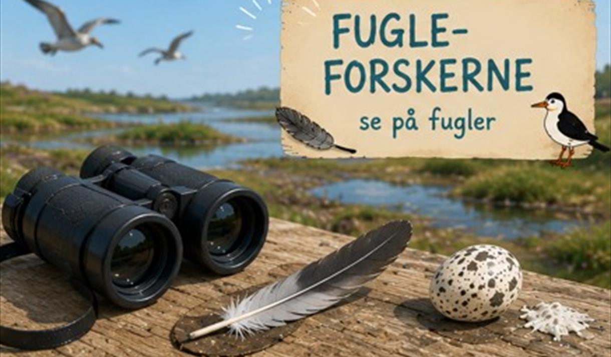 Fugleforskerne på Jomfruland