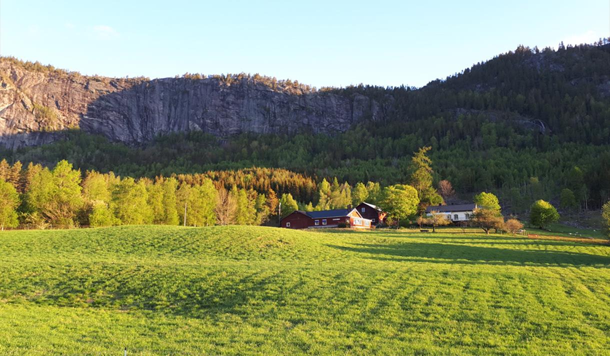 gården til Aketun Fisk