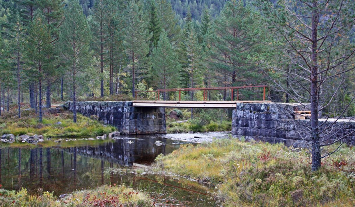 Russvassdamen eit imponerande byggverk