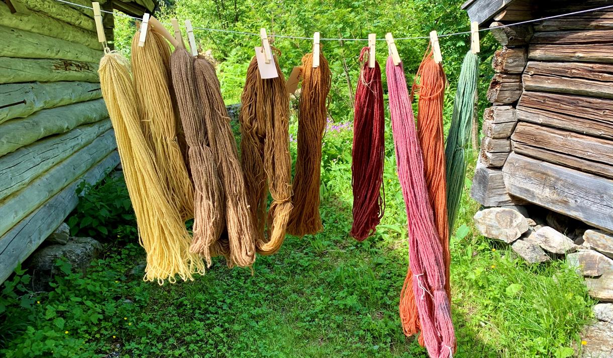 Plantefarging av garn, Vest-Telemark museum Eidsborg.