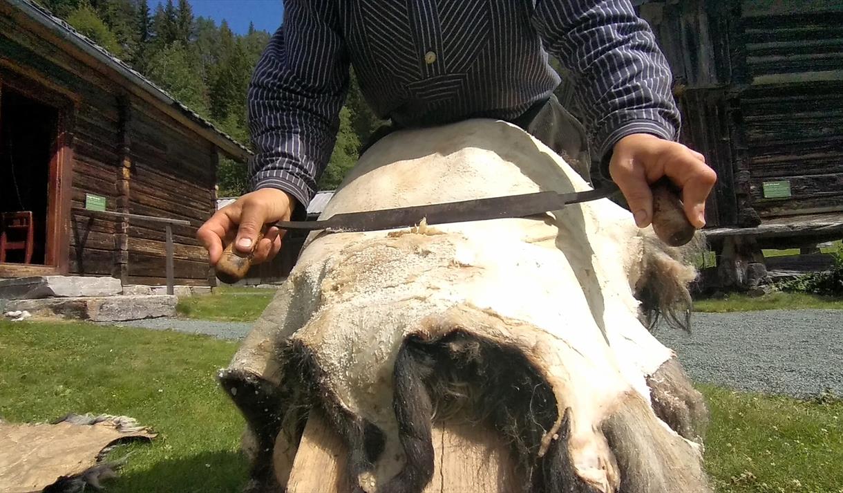 Museumsbonden i Eidsborg demonstrerar garving av skinn.
