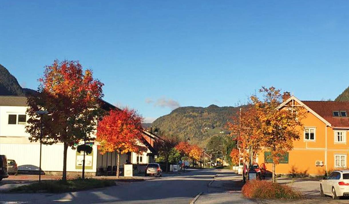 høst på Dalen