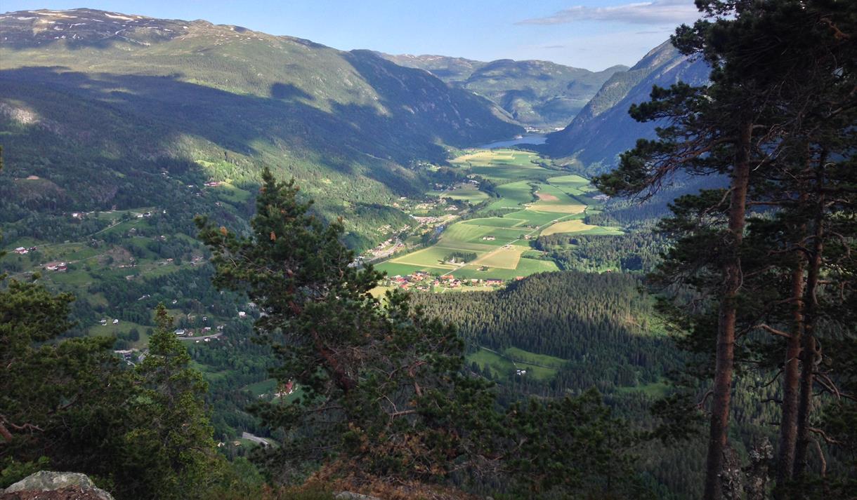 Fantastisk utsikt frå Bindingsnuten