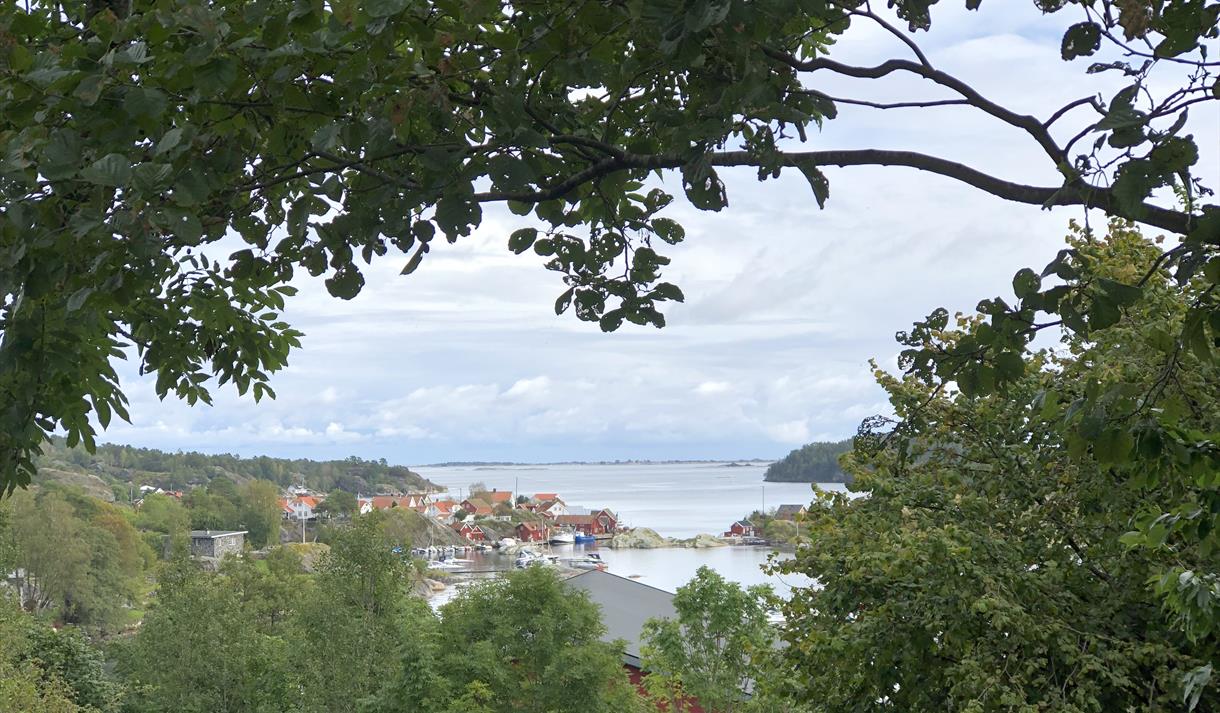 utsikt mot vannet på kyststien i Bamble fra Valle til Fossing