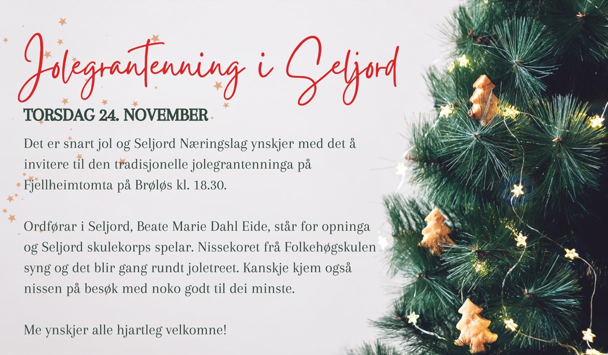 Jolegrantenning i Seljord 24. november