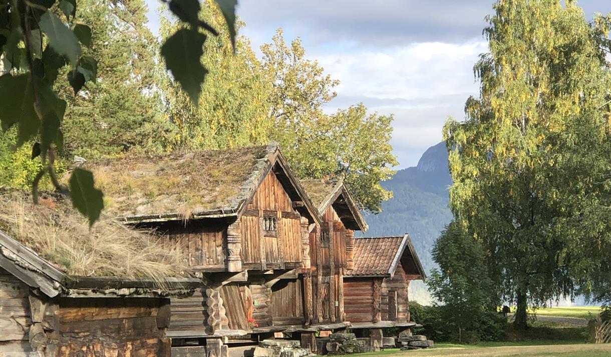 Bur og loft på Kviteseid bygdetun, Vest-Telemark museum.