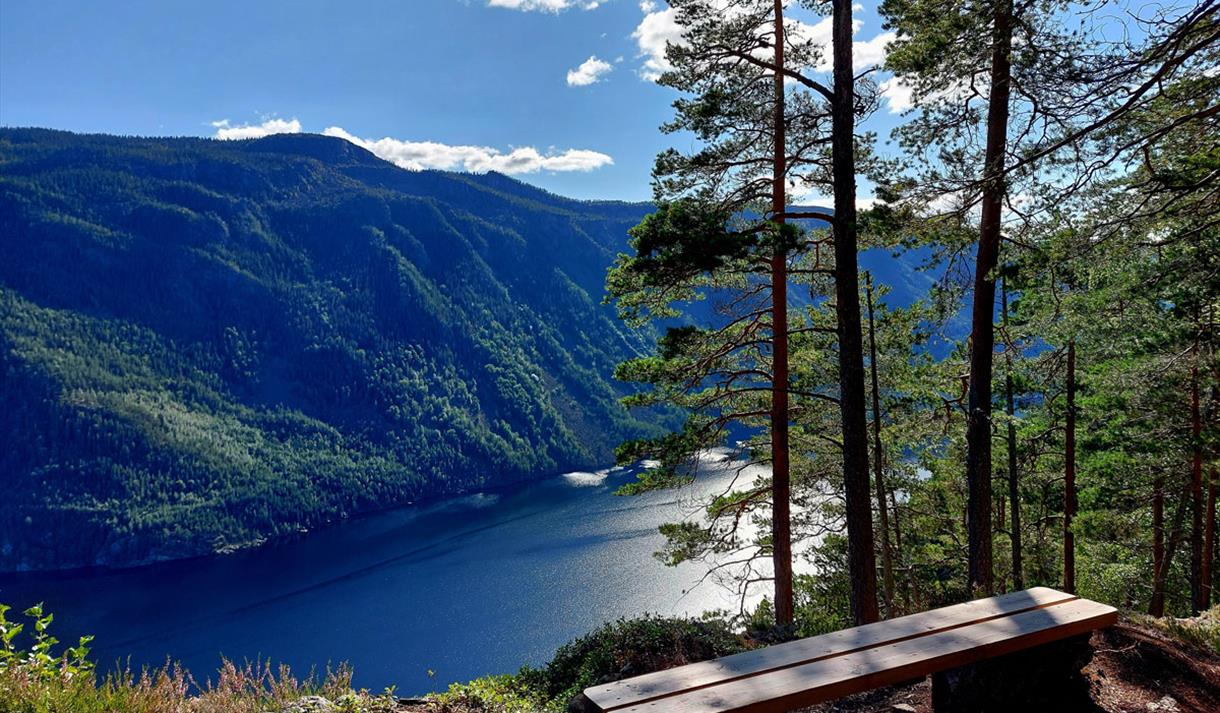 rasteplass med flott utsikt langs Tveitgrendløypa