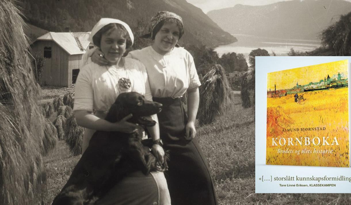 Kornband, Saurland i Lårdal