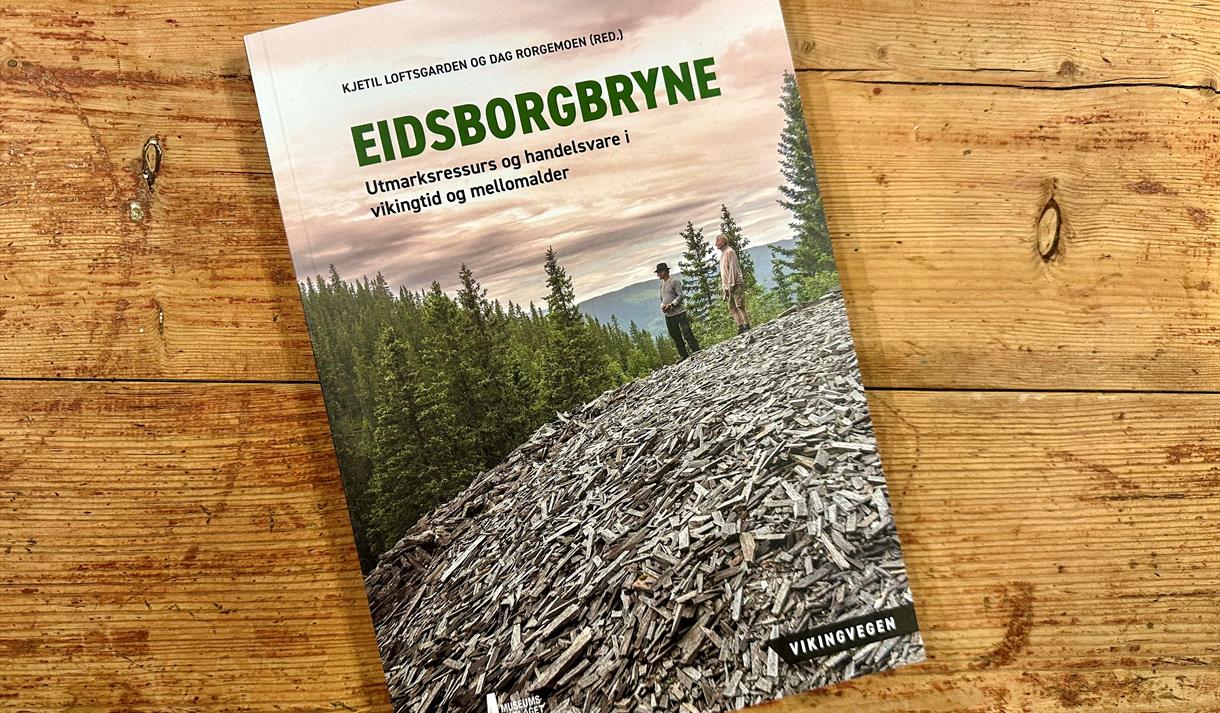 Bokomslag: Eidsborgbryne - Utmarksressurs og handelsvare